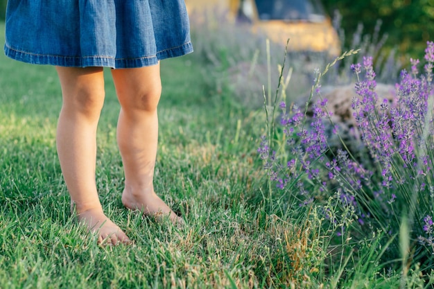 Los pies de la niña en vestido de mezclilla en el sol sobre el césped, junto a flores de lavanda lila