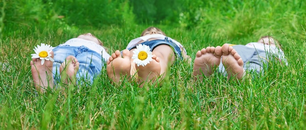 Pies de los niños con manzanilla sobre la hierba verde.