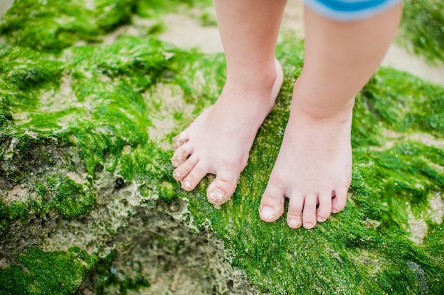 Pies de los niños sobre las algas