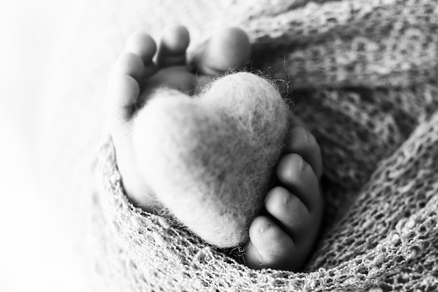 Pies de recién nacido con corazón de madera, envueltos en una manta suave. Fotografía de estudio en blanco y negro. Foto de alta calidad