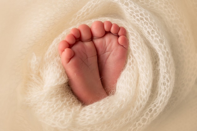 Los pies del recién nacido están envueltos en una manta blanca de punto. Los dedos del bebé recién nacido se cierran para arriba. Foto de alta calidad