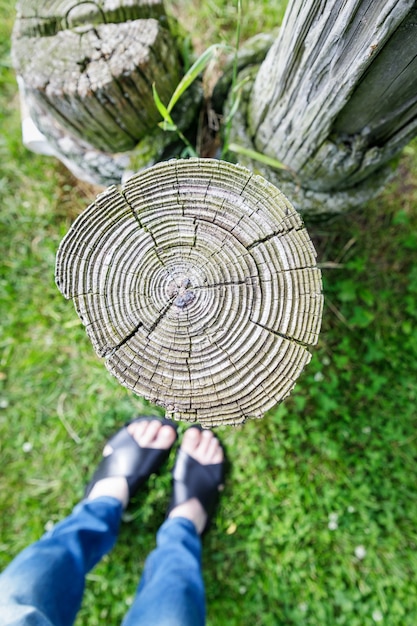 Pies selfie con textura de tocón de árbol viejo