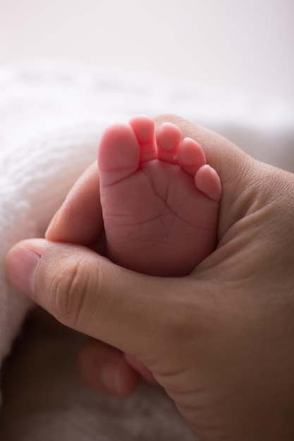Pies suaves del bebé recién nacido parte del cuerpo delicada maternidad