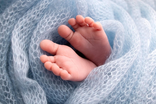 Pies suaves de un recién nacido en una manta de lana azul Primer plano de los talones de los dedos de los pies y los pies de un bebé recién nacido El pequeño pie de un recién nacido Estudio Fotografía macro Pies de bebé cubiertos con fondo aislado