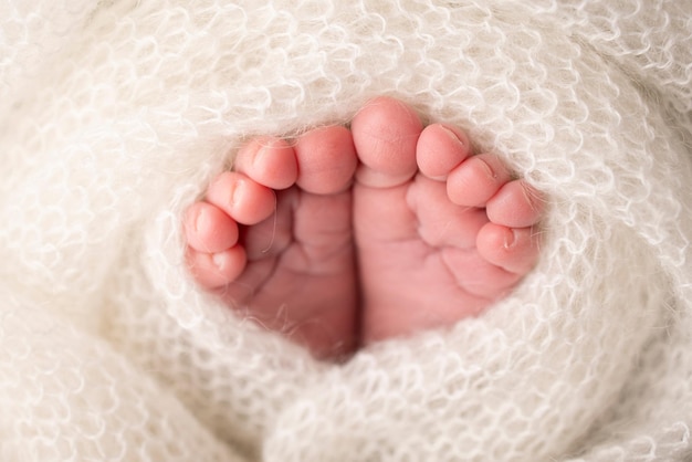 Pies suaves de un recién nacido en una manta de lana blanca Primer plano de los talones de los dedos de los pies y los pies de un bebé recién nacido El pequeño pie de un recién nacido Estudio Fotografía macro Pies de bebé cubiertos con fondo aislado