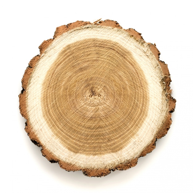 Foto pieza circular grande de sección transversal de madera con patrón de textura de anillo de árbol y grietas