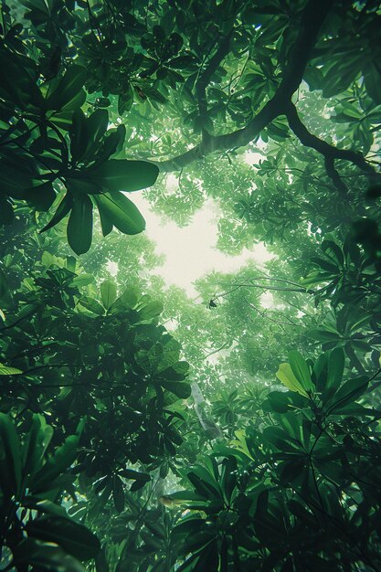 una pieza que artísticamente representa un dosel de la selva tropical desde abajo mirando hacia el cielo