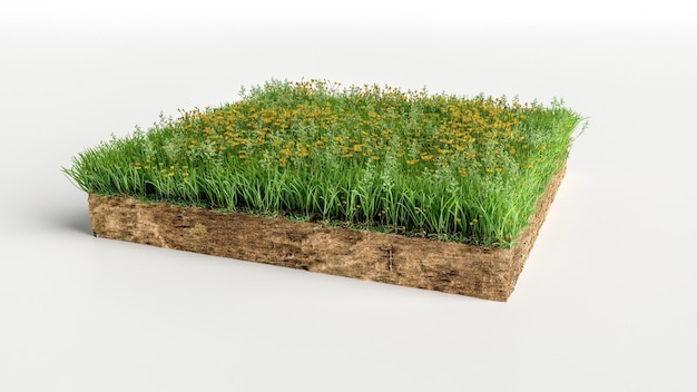 Pieza de tierra de hierba verde con flores aisladas sobre fondo blanco Ilustración 3D