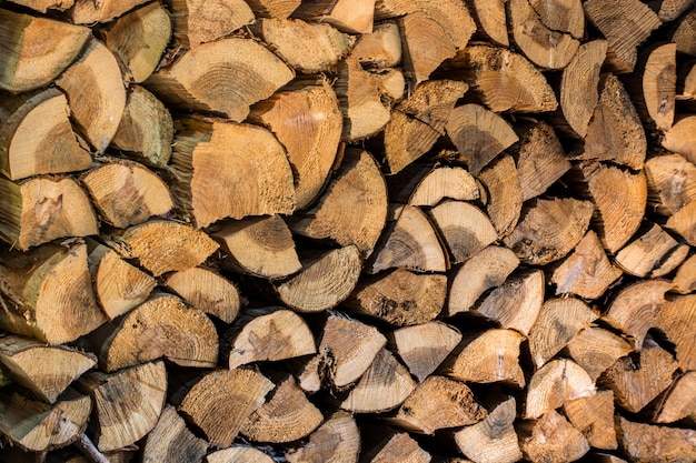 piezas de fondo de tocón de madera de teca. Corta trozos de troncos de madera como fondo.