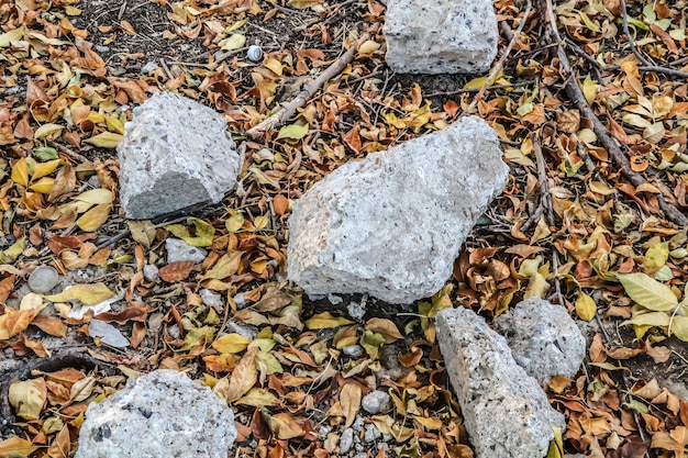 Piezas de hormigón en la naturaleza Hormigón destruido