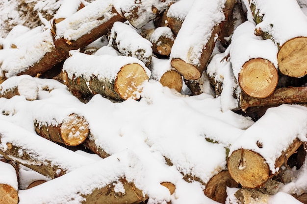 Piezas de madera cubiertas con nieve de fondo