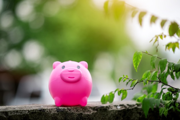 Piggy Querneigung-rosa Sparschwein im Naturgebiet hellgrün morgens, nette kleine Schweine.