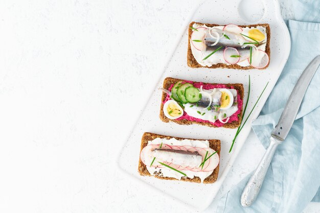 Pikantes Smorrebrod, ein Set traditioneller dänischer Sandwiches. Schwarzes Roggenbrot mit Sardellen, Rote-Bete-Wurzeln