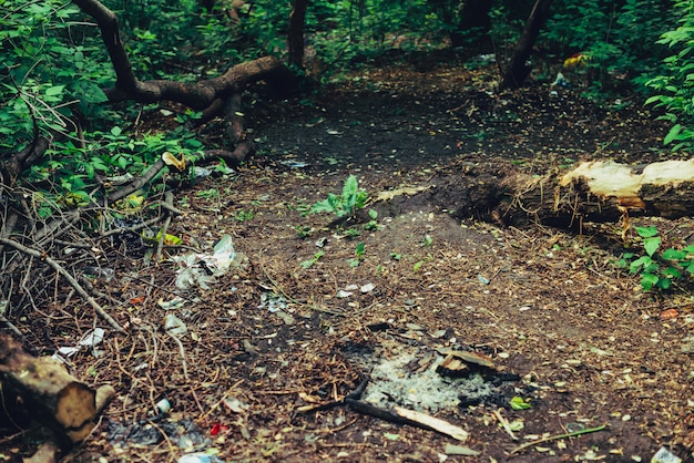 Foto pila de basura en el bosque entre las plantas.