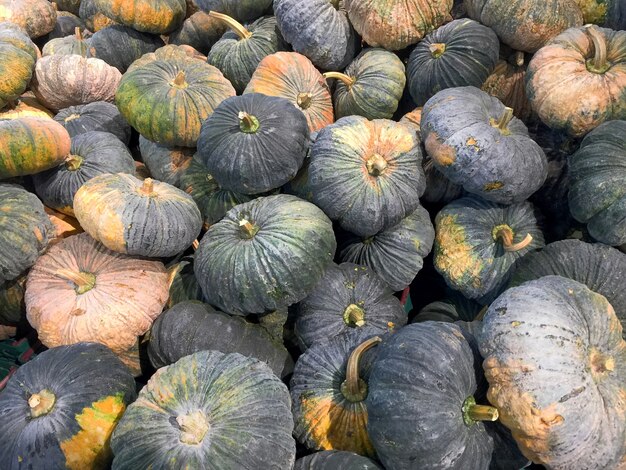 Pila de calabazas de fondo