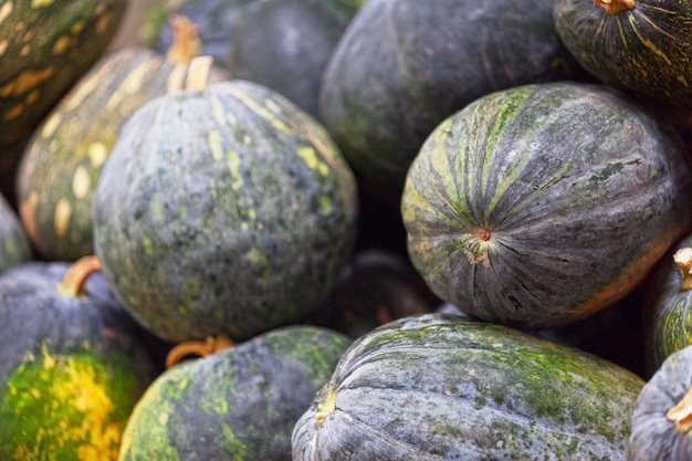 Pila de calabazas en un puesto de mercado