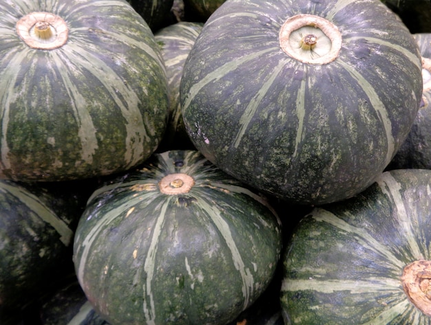 Pila de calabazas tropicales verde oscuro en el mercado, fondo