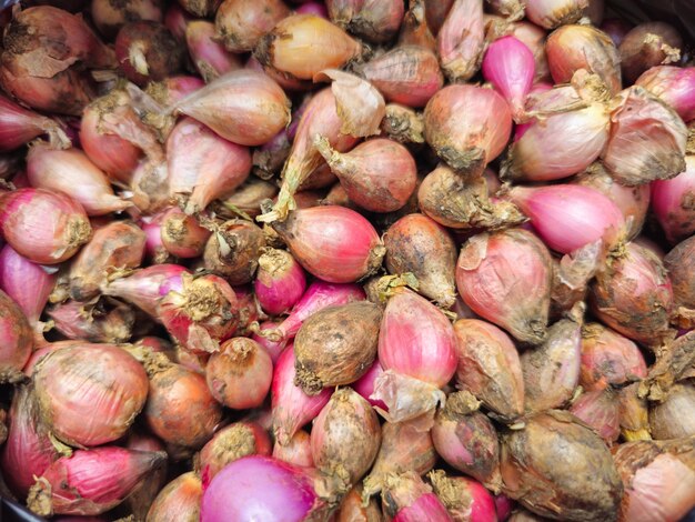 Una pila de chalotes maduros y cebolla roja asiática Bawang merah Sumenep Allium cepa L var aggregatum