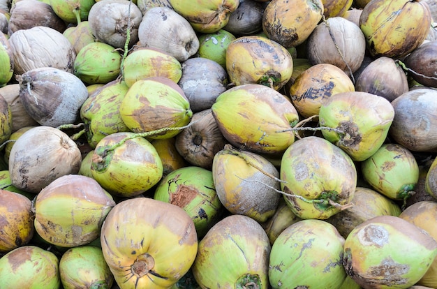 Pila de cocos en el suelo en Tailandia