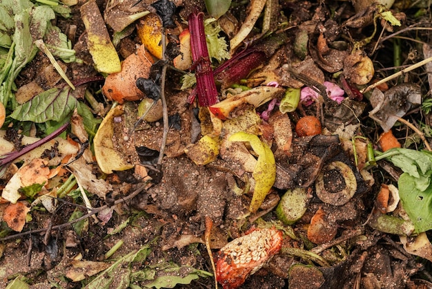 Una pila de compost de jardín de verduras y frutas permanece desde el detalle de primer plano de la cocina desde arriba