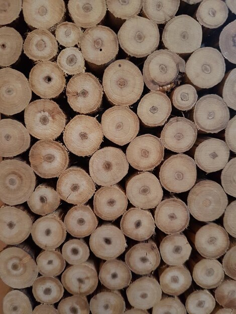Foto pila de lenha de fundo de madeira
