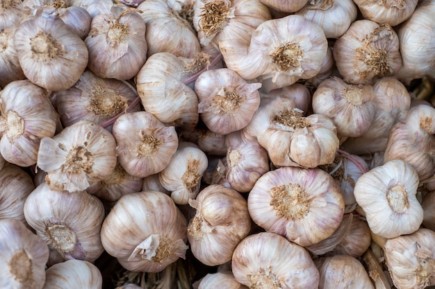 Pila de dientes de bulbo de ajo