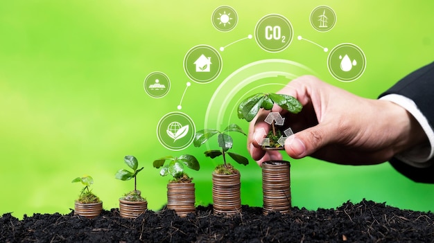 La pila de dinero que crece con un hombre de negocios invirtiendo en tecnología ecológica simboliza la inversión empresarial verde y el crecimiento económico financiero sostenible en la sostenibilidad ambiental.