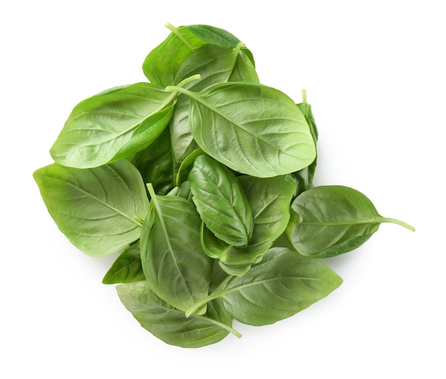 Una pila de hojas de albahaca ecológica verde y fresca aisladas en blanco