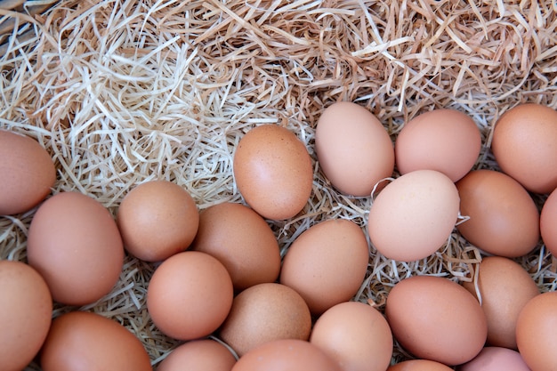 La pila de huevos frescos y crudos orgánicos del pollo de la gallina para la venta en la agricultura del mercado de la bandeja cultiva.