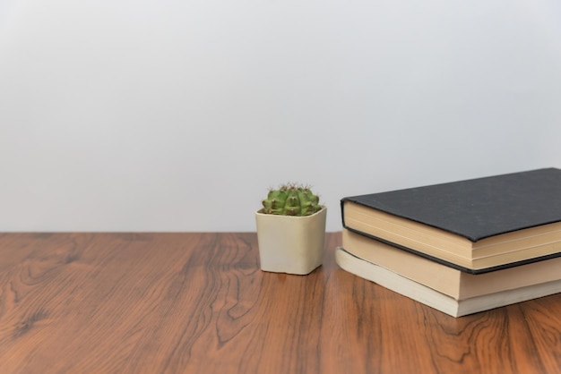 Pila de libros y cactus en mesa de madera