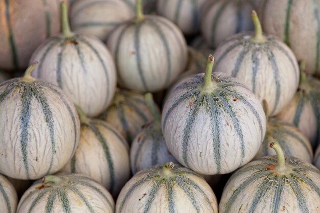 Pila de melones Charentais en un puesto en el mercado