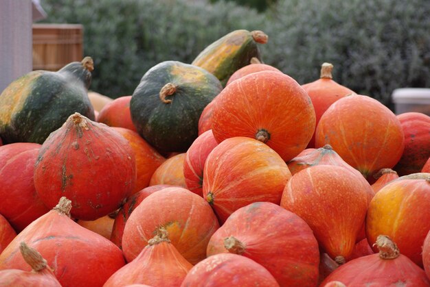 Pila de mini calabaza en un mercado