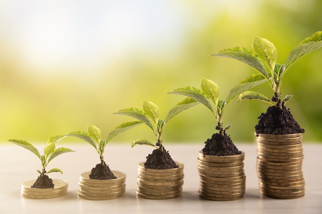 Pila de monedas de oro con una planta joven en vegetación