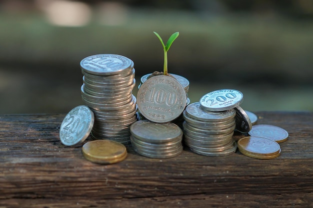 Una pila de monedas de las que crece una planta.