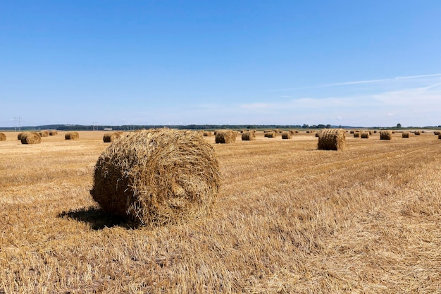 Pila de paja en el campo