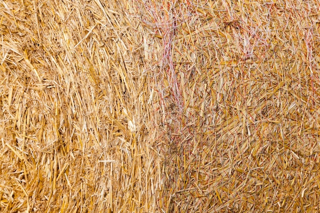 Pila de paja en el campo