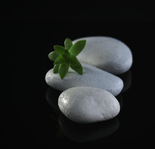 Pila de piedras y una flor verde sobre fondo negro Concepto de relajación Spa