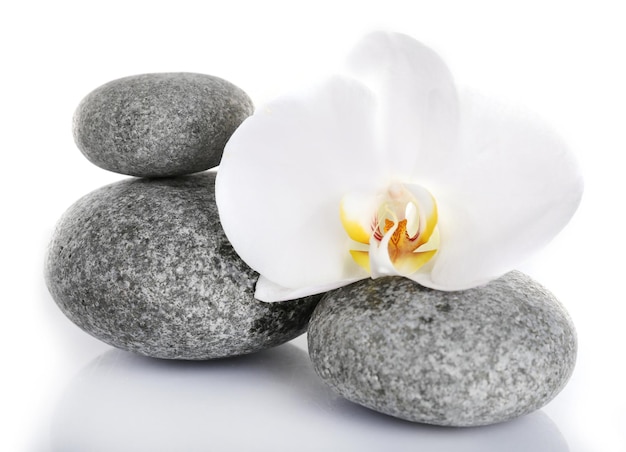 Pila de piedras de spa con flor de orquídea aislado en blanco