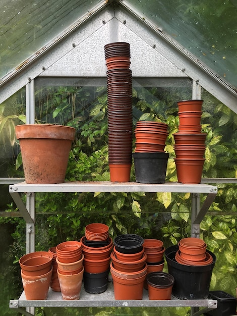 Foto pila de plantas