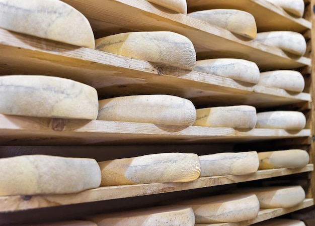 Pila de queso envejecido en estantes de madera en la bodega de maduración de la lechería Franche Comte, en Francia