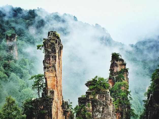 Una pila de rocas en el parque forestal nacional de zhangjiajie