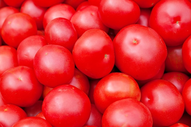 Pila de tomates tártaros de Mongolistán en un puesto en el mercado