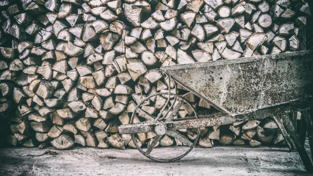 Foto una pila de troncos en el bosque