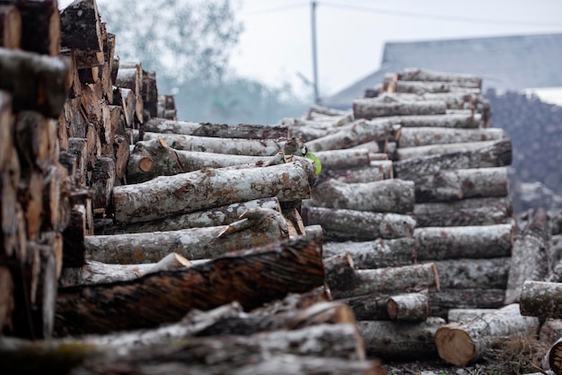 Pila de troncos de madera en el almacén