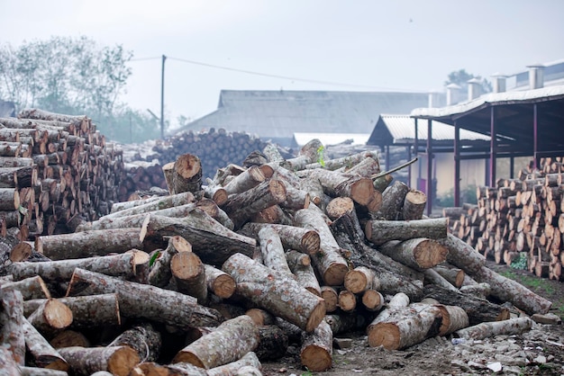 Pila de troncos de madera en el almacén