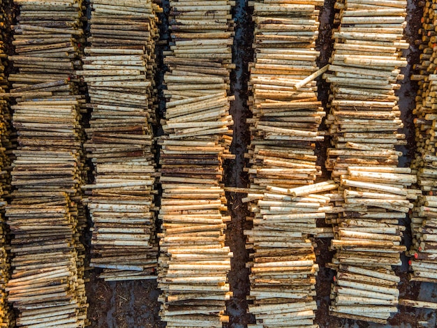 Pila de troncos de madera en el aserradero o en el patio de la planta de aserradero Vista de drones