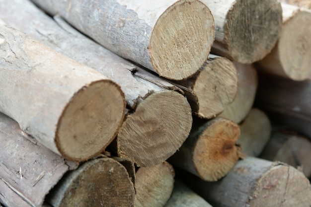 Pila de troncos de madera, tocones de árboles
