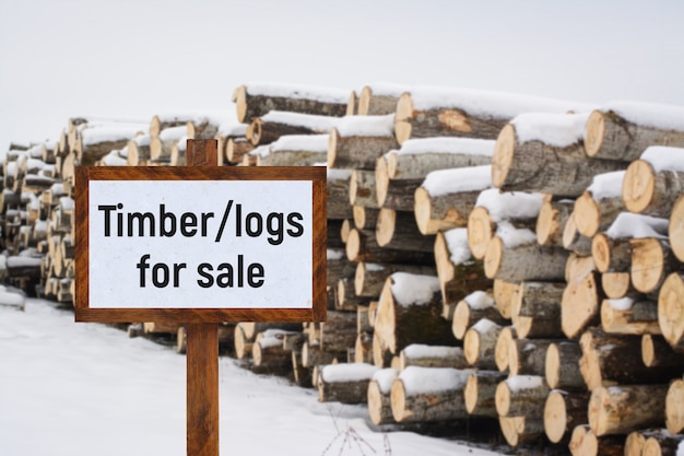 Pila de troncos para la venta