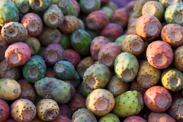 Pila de tunas en un puesto en el mercado