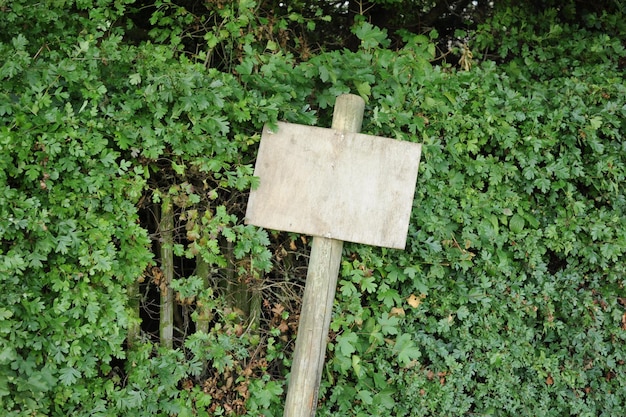 Foto pilar de madeira contra plantas